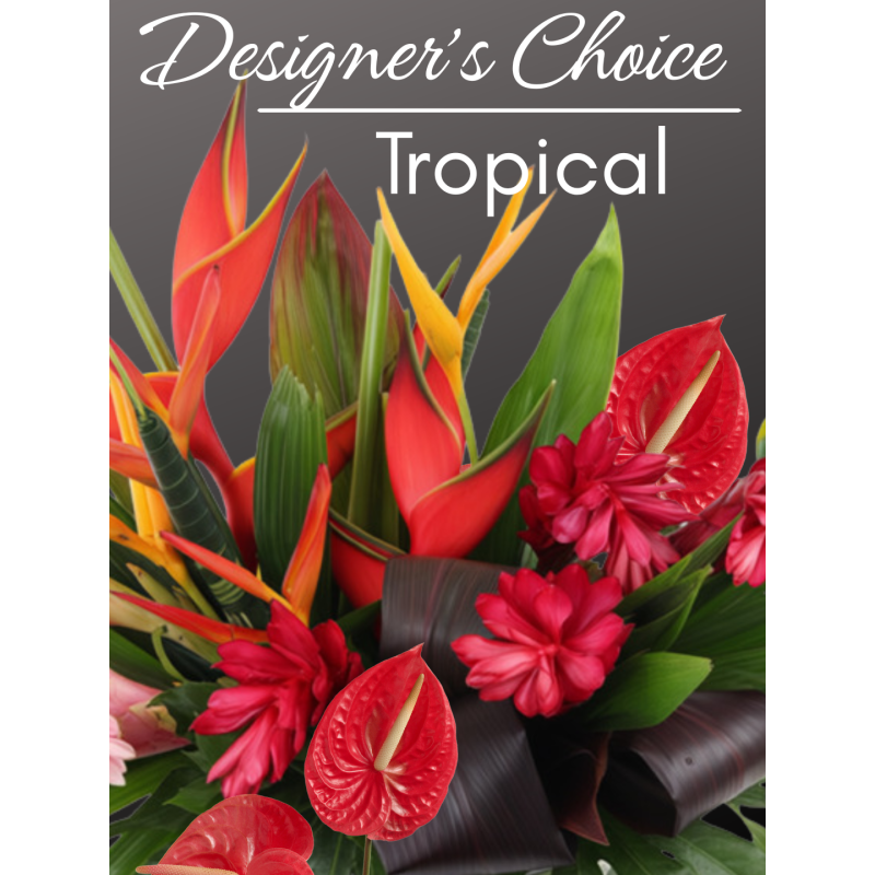 Tropical Designers Choice - Same Day Delivery