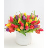 Amazing Tulips : Fancy