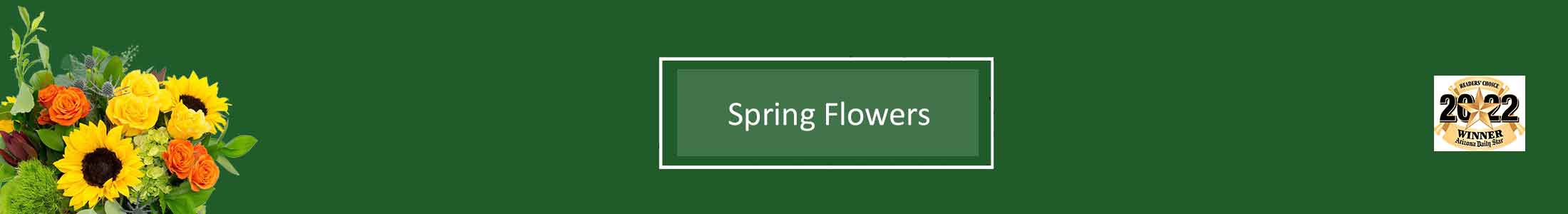 Spring Flowers, Daffodils, Dahlia
