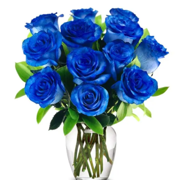 BLUE ROSES 