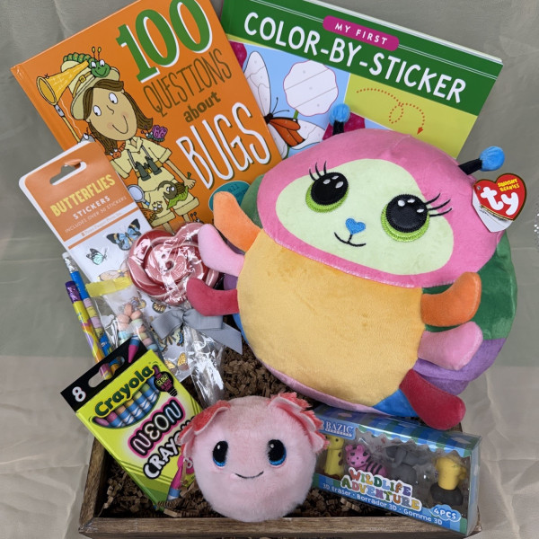 Wild About Bugs Crate 