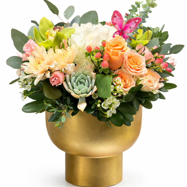 Mayfields Peachy 4th Ave