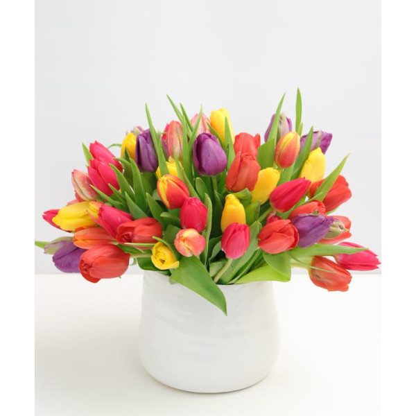 Amazing Tulips 