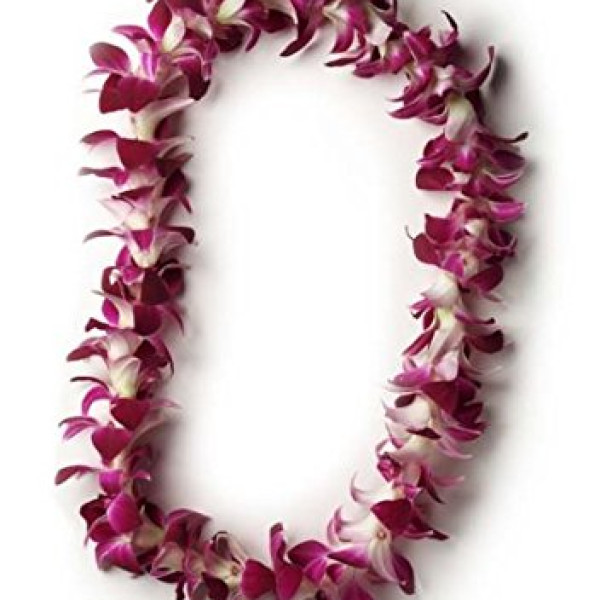 Hawaiian Lei 