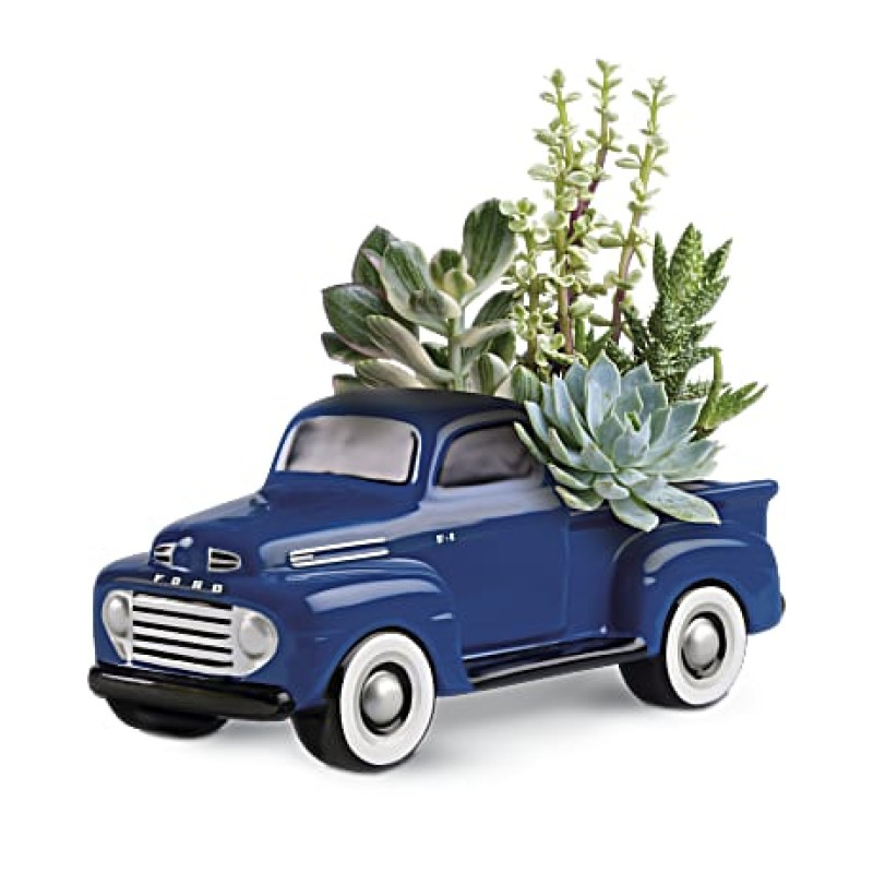 Ford Pickup Succulent Garden - Same Day Delivery