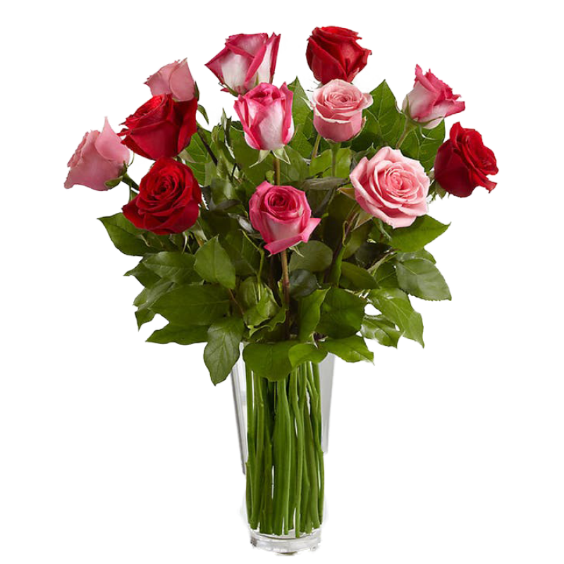 Red & Pink Roses - Same Day Delivery