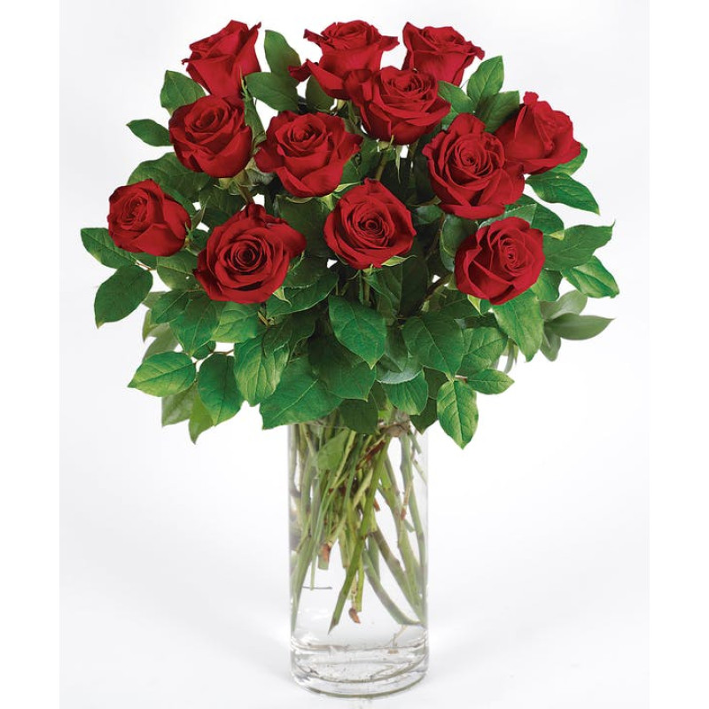 CLASSIC LONG STEM RED ROSES  - Same Day Delivery