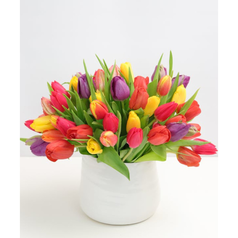 Amazing Tulips  - Same Day Delivery