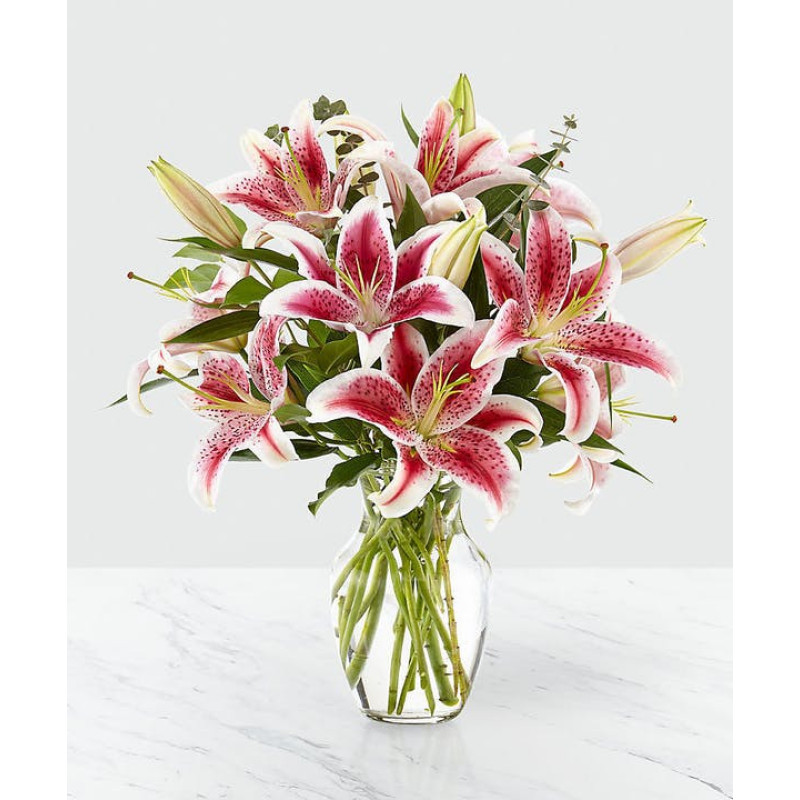 Enchanting Stargazers  - Same Day Delivery