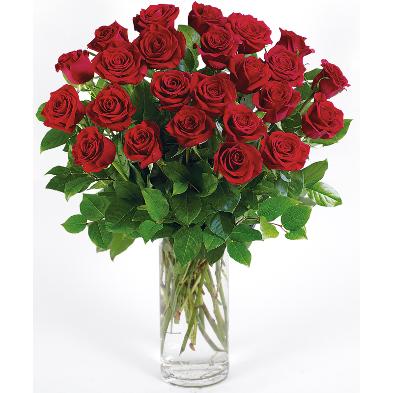 CLASSIC LONG STEM RED ROSES - Same Day Delivery