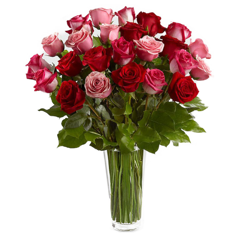 Romance And Roses  - Same Day Delivery