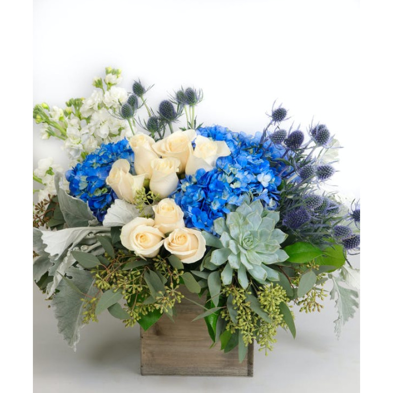 WINTER WOODLAND BLUES - Same Day Delivery