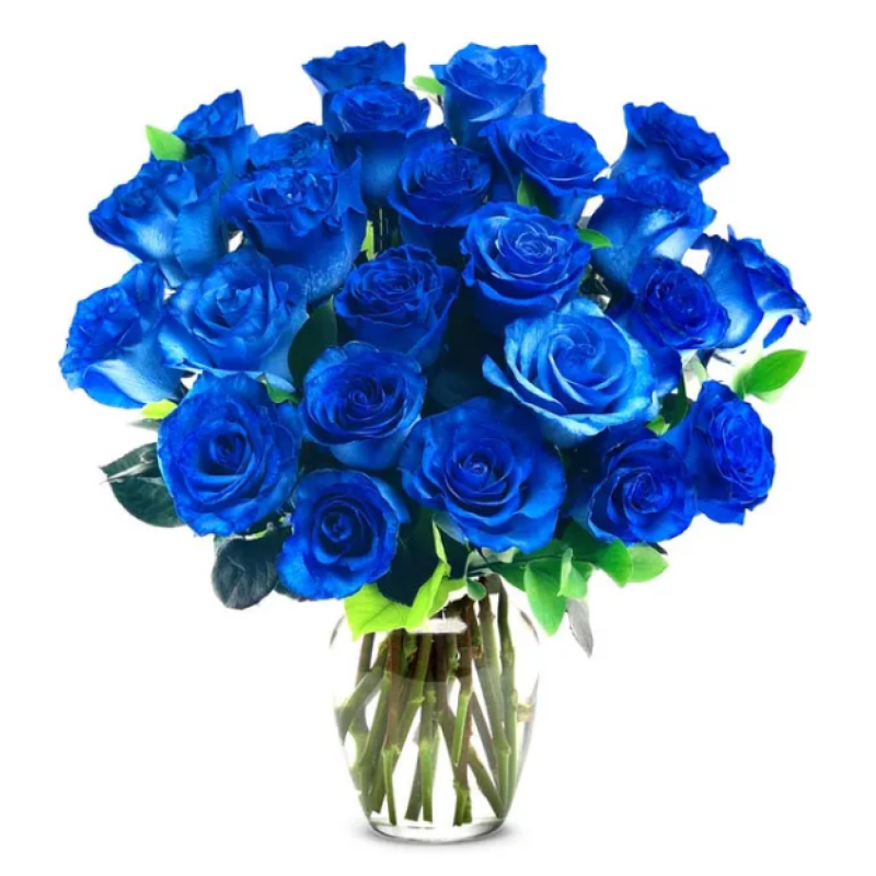 BLUE ROSES - Same Day Delivery