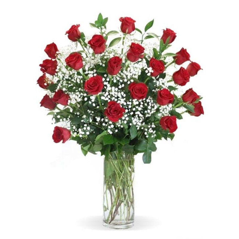 Red Roses With Babies Breath  - Same Day Delivery