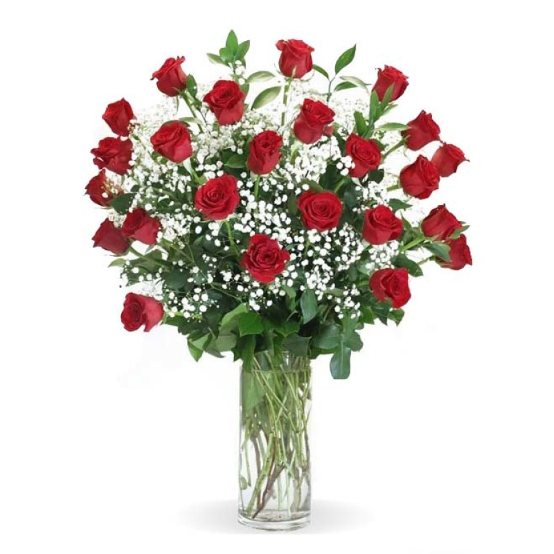 Red Roses With Babies Breath - Same Day Delivery