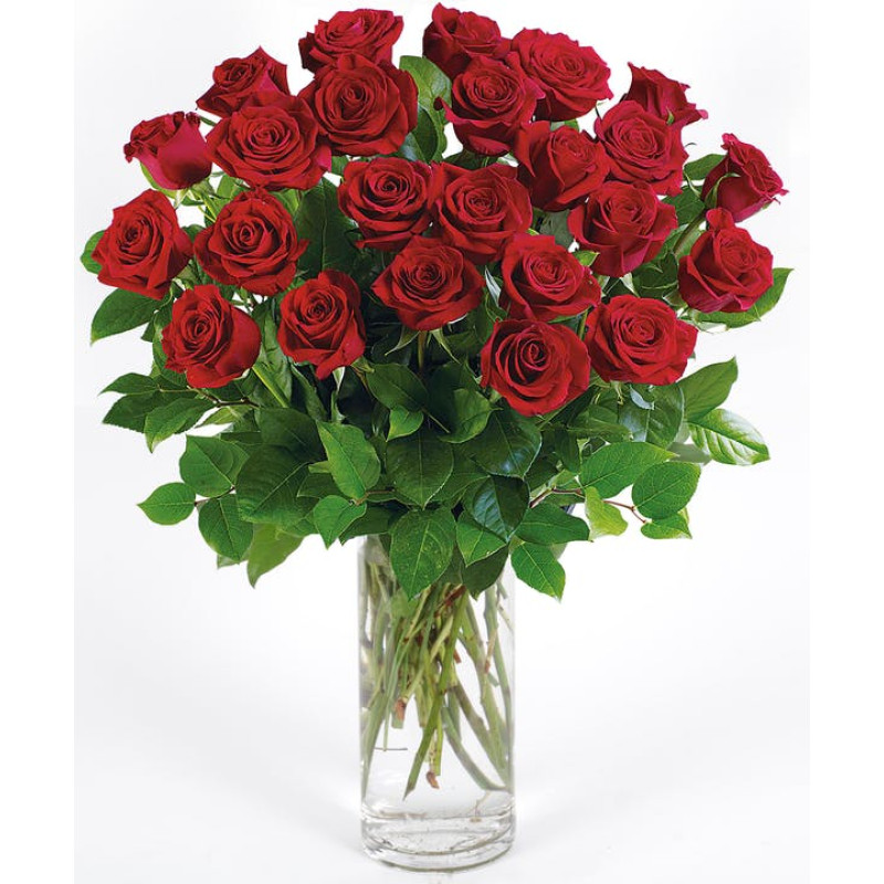 CLASSIC LONG STEM RED ROSES  - Same Day Delivery