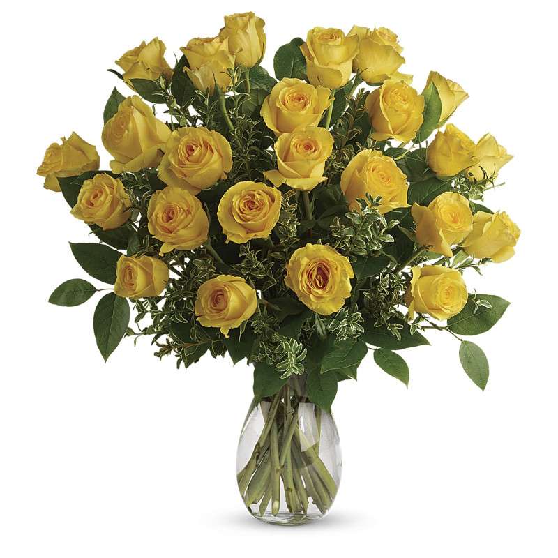 Say Yellow  - Same Day Delivery