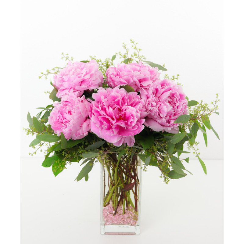 Mayfields Perfect Peonies - Same Day Delivery