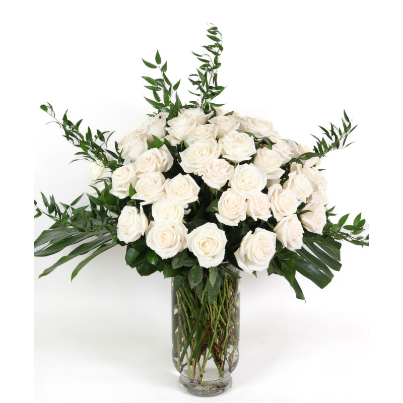 50 White Roses - Same Day Delivery