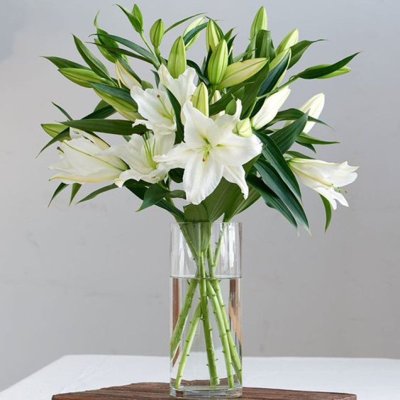 Lovely Lilies  - Same Day Delivery