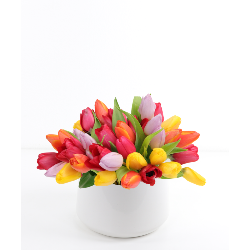 Amazing Tulips - Same Day Delivery