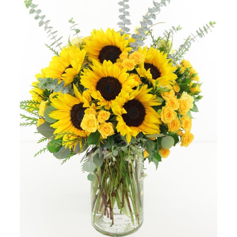Let The Sun Shine - Same Day Delivery