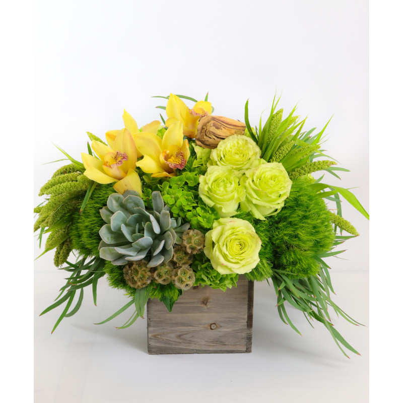 Bisbee Grand - Same Day Delivery