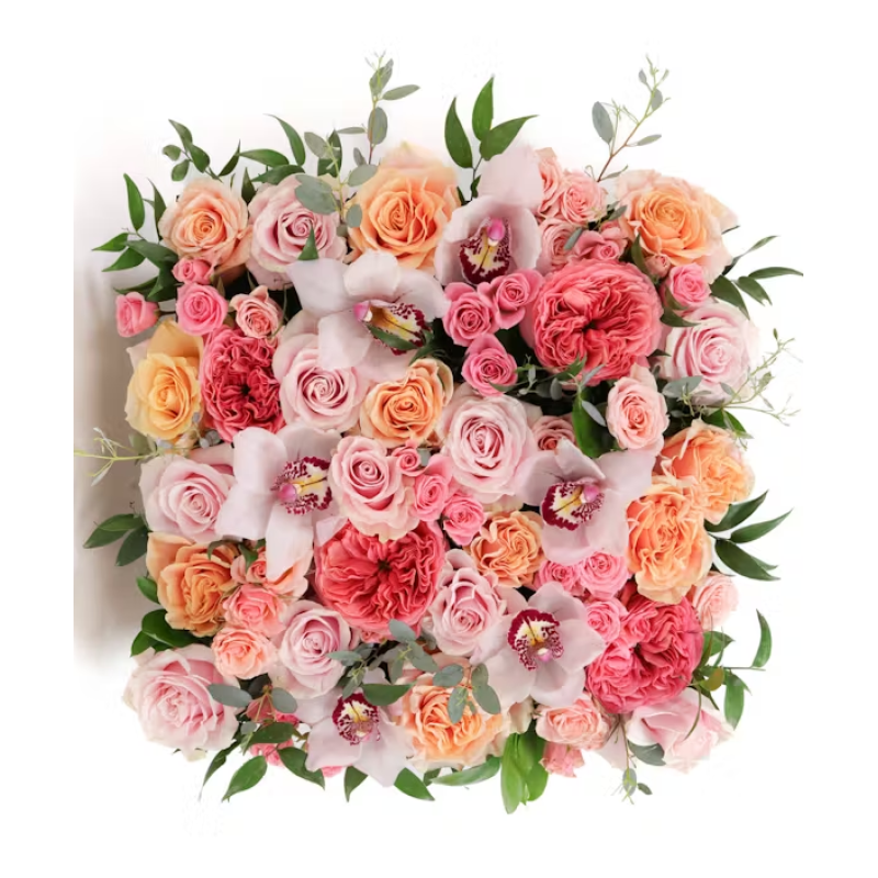 Blush Brilliance - Same Day Delivery