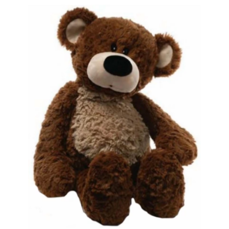 Bobby Bear - Same Day Delivery