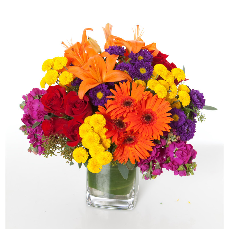 Bold and Beautiful - Same Day Delivery