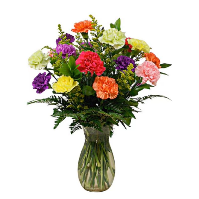 Mayfields Candy Carnations  - Same Day Delivery