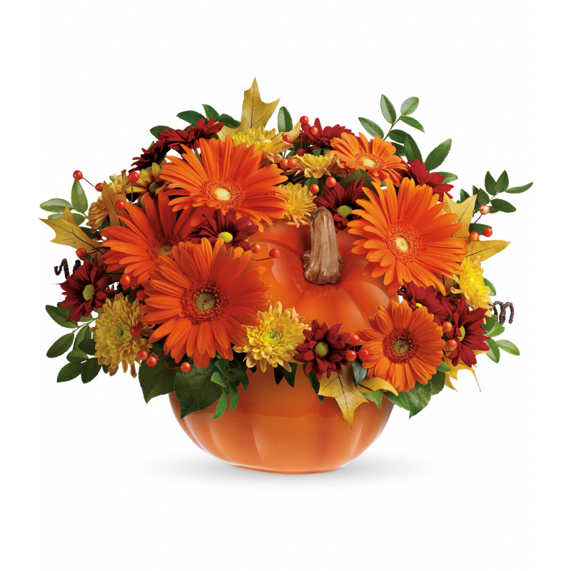 Country Pumpkin - Same Day Delivery