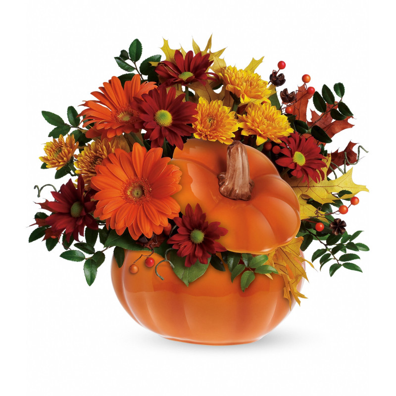 Country Pumpkin - Same Day Delivery