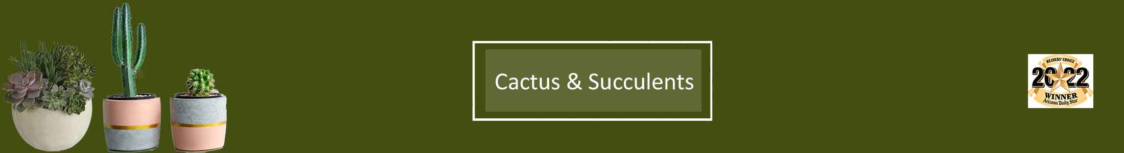 Cactus Gardens, Succulent Dish Gardens