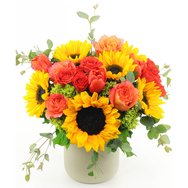 Hello Sunshine  - Same Day Delivery