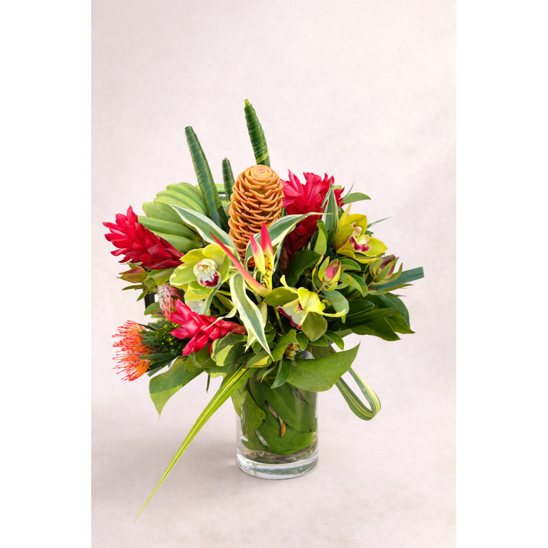 Pacific Orchid Garden - Same Day Delivery