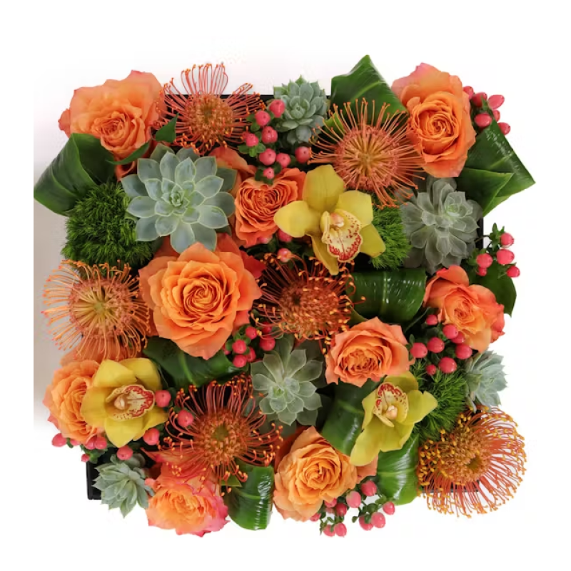 Desert Oasis - Same Day Delivery