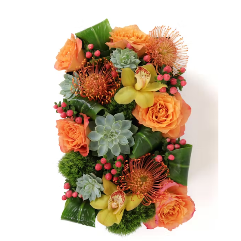 Desert Oasis - Same Day Delivery