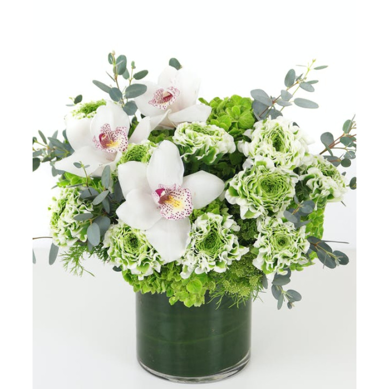 Mayfields Ranunculus Garden - Same Day Delivery