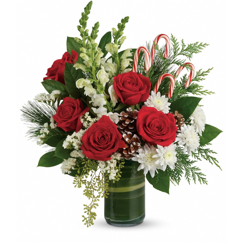 Candy Cane Christmas - Same Day Delivery