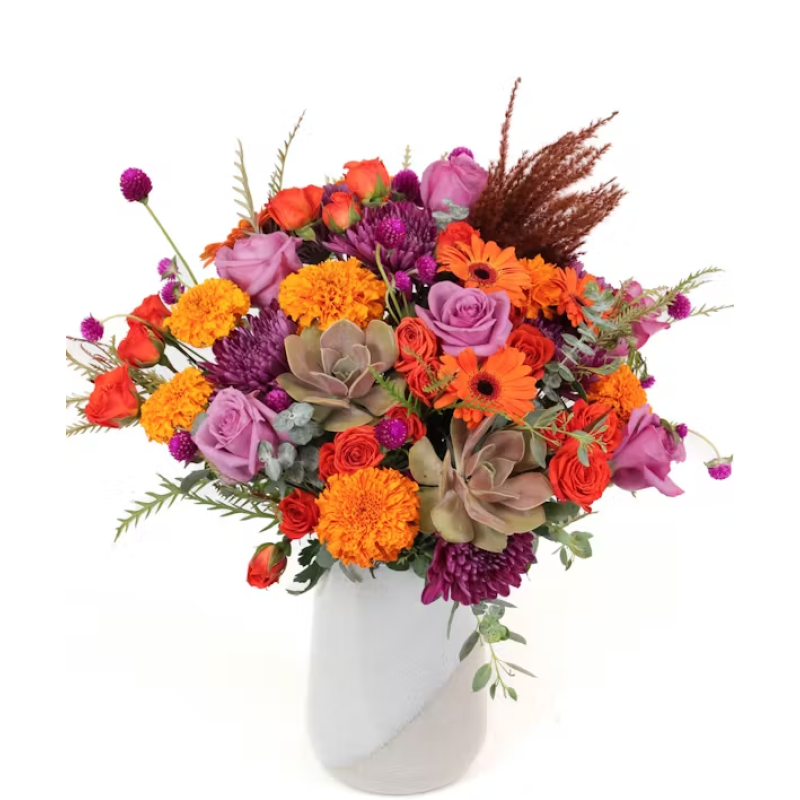 HOCUS POCUS - Same Day Delivery