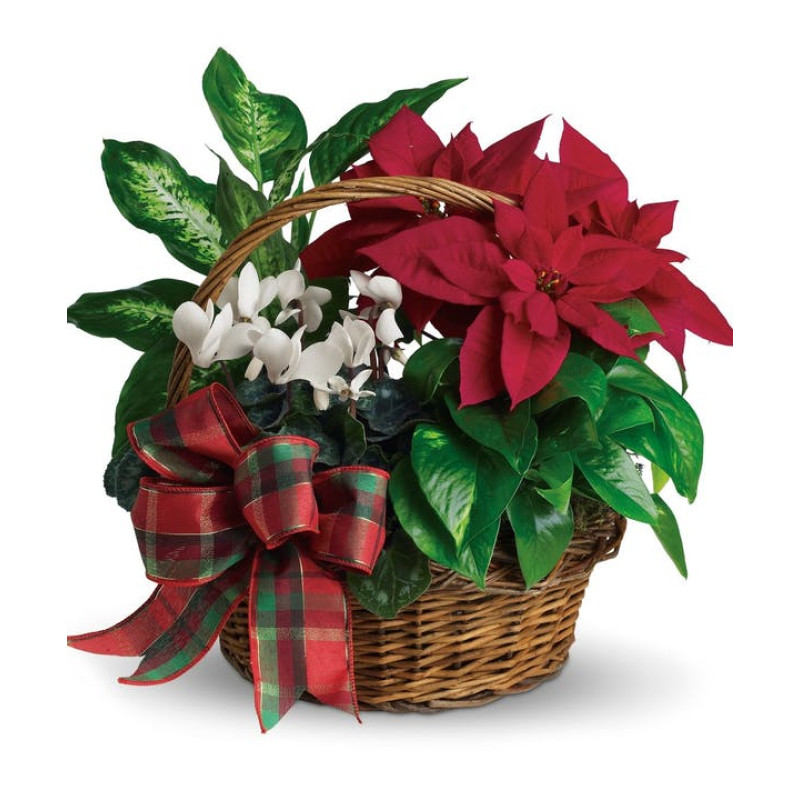 Holiday Homecoming Basket - Same Day Delivery