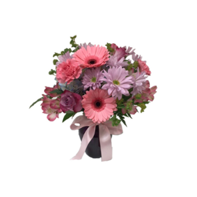 Walk In The Garden - Same Day Delivery