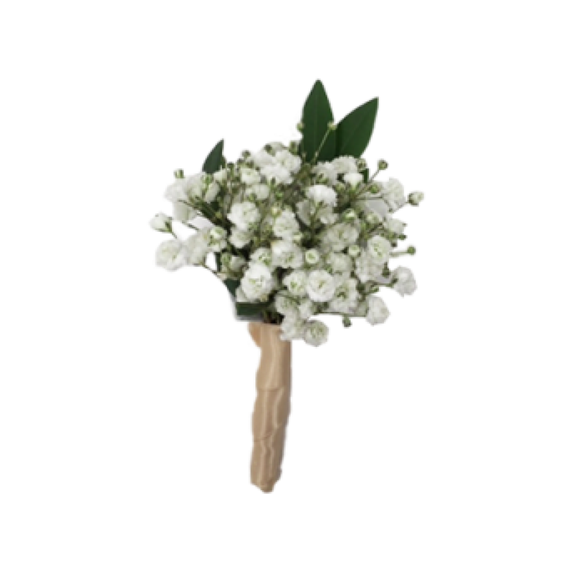 Babies Breath Boutonniere - Same Day Delivery