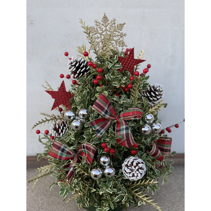 Oregonia Christmas Trees - Same Day Delivery