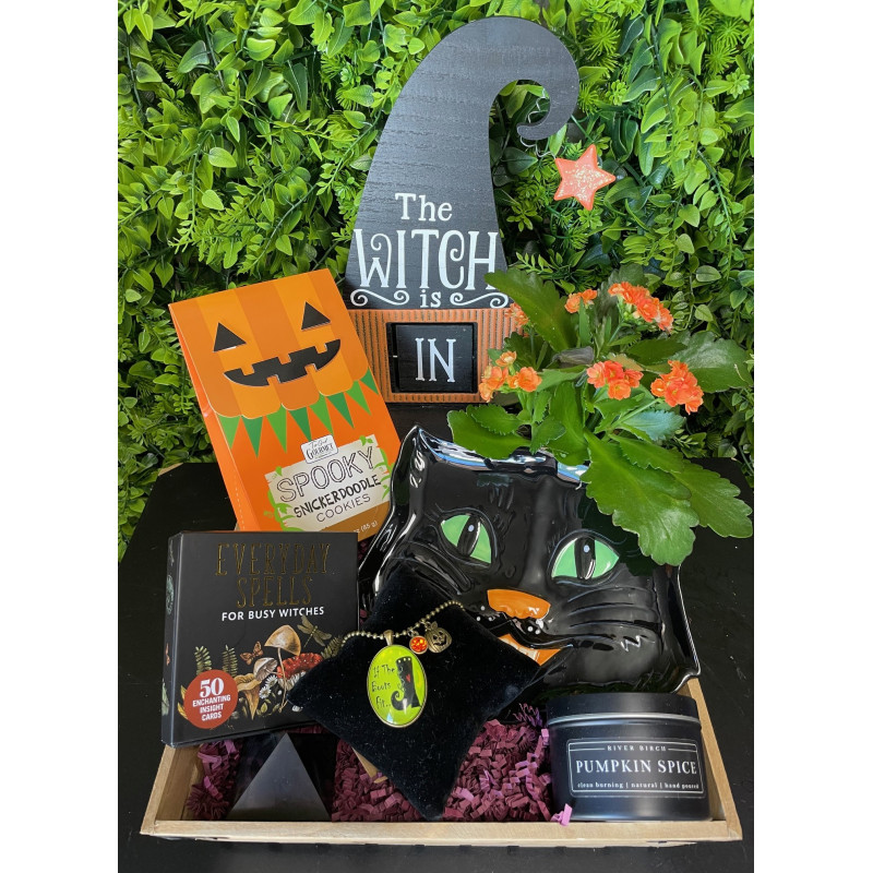 Mayfields Bewitched Crate - Same Day Delivery