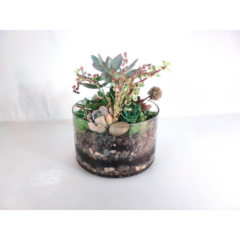 Terrarium Succulent Garden Large - Same Day Delivery