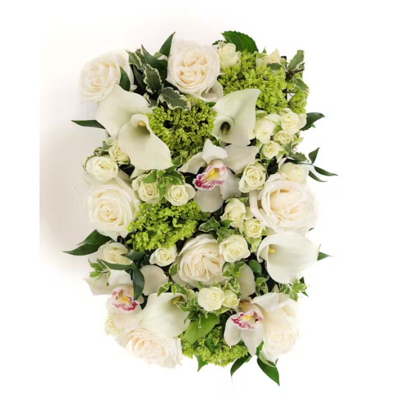 Ivory Bliss - Same Day Delivery