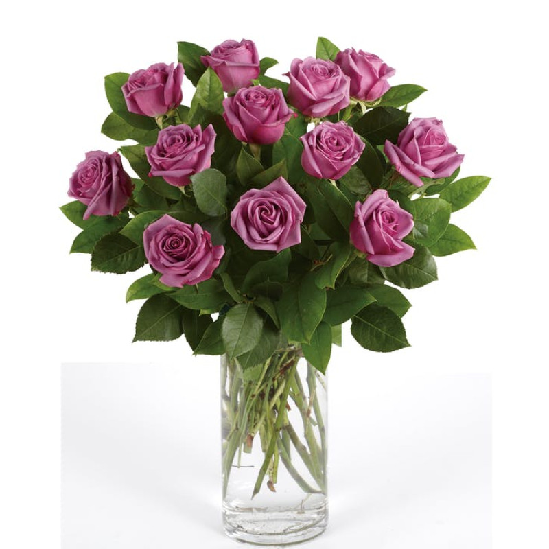 Lavender Roses - Same Day Delivery