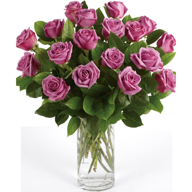 Lavender Roses - Same Day Delivery